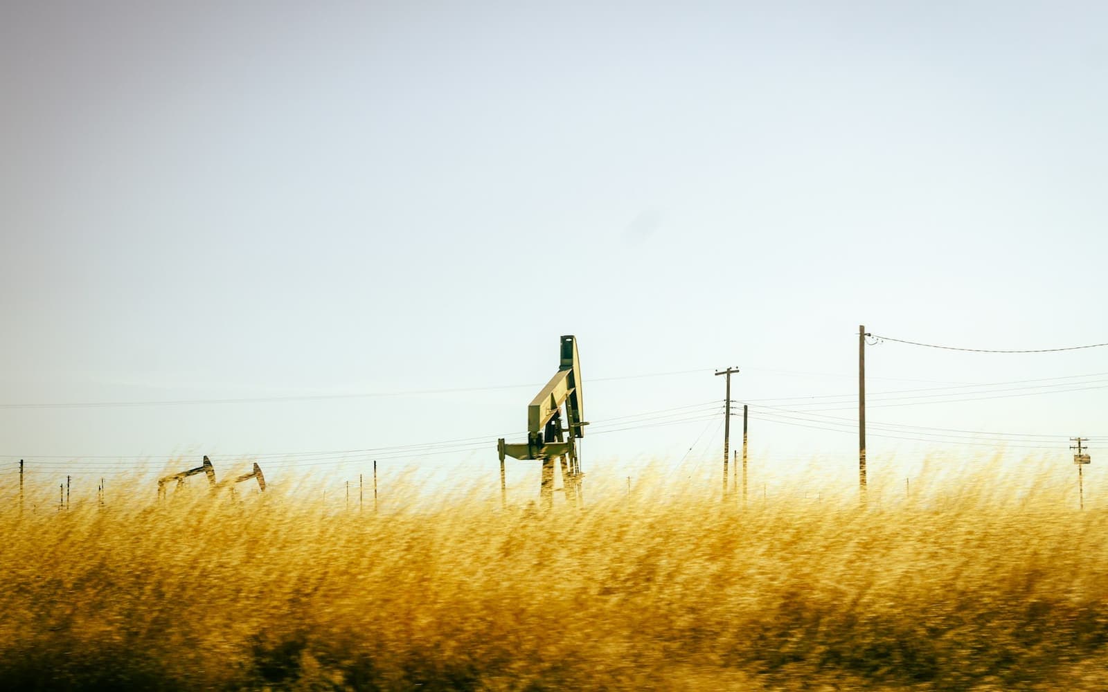 Oil pump jacks in a field of golden grass