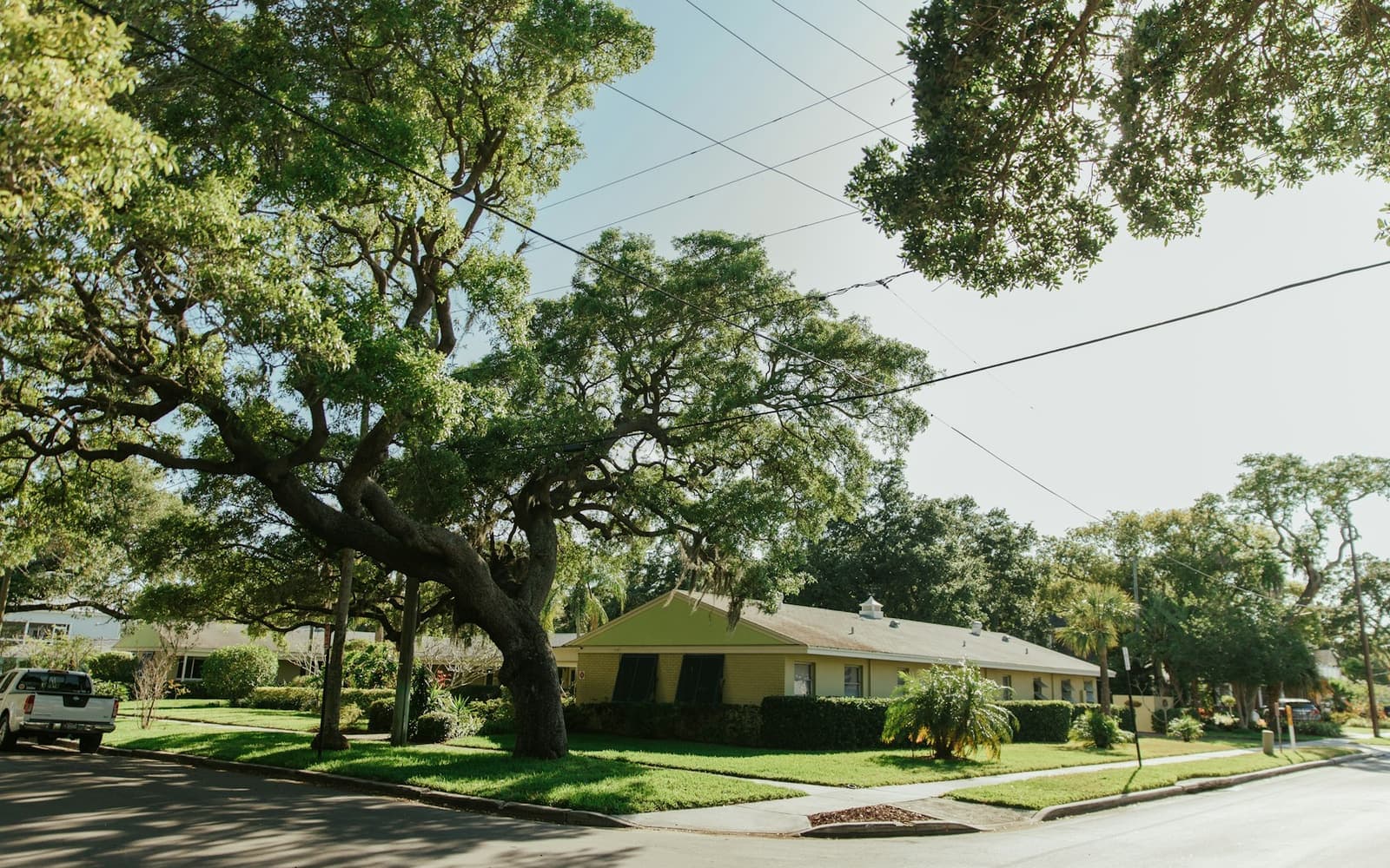 A one-story house on a street shaded by live oaks