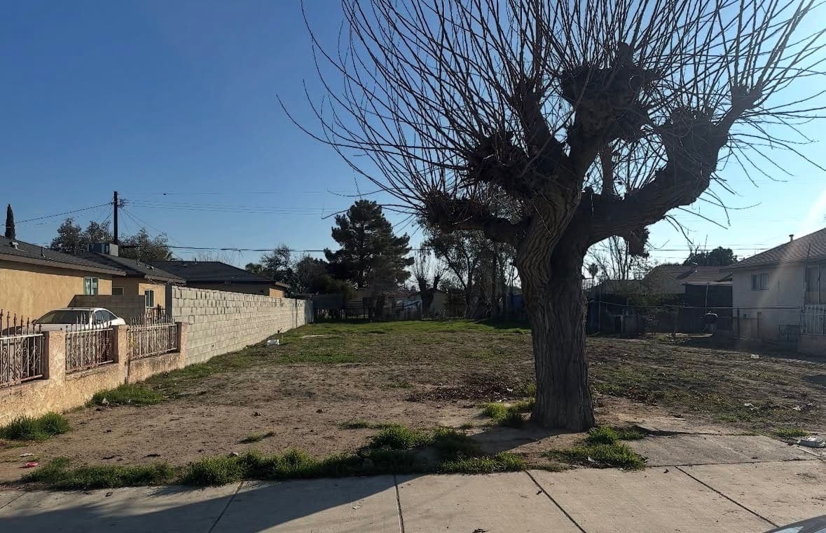 An empty lot between two houses with one bare tree