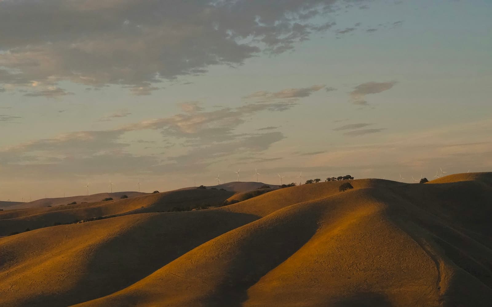Dry golden hills at sunset