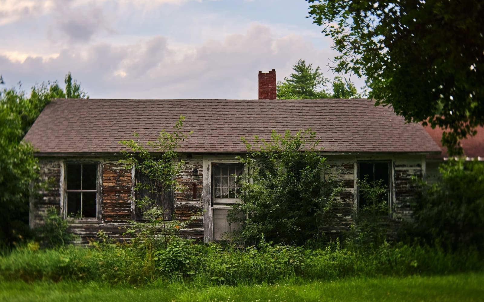A small house with peeling paint and an overgrown yard