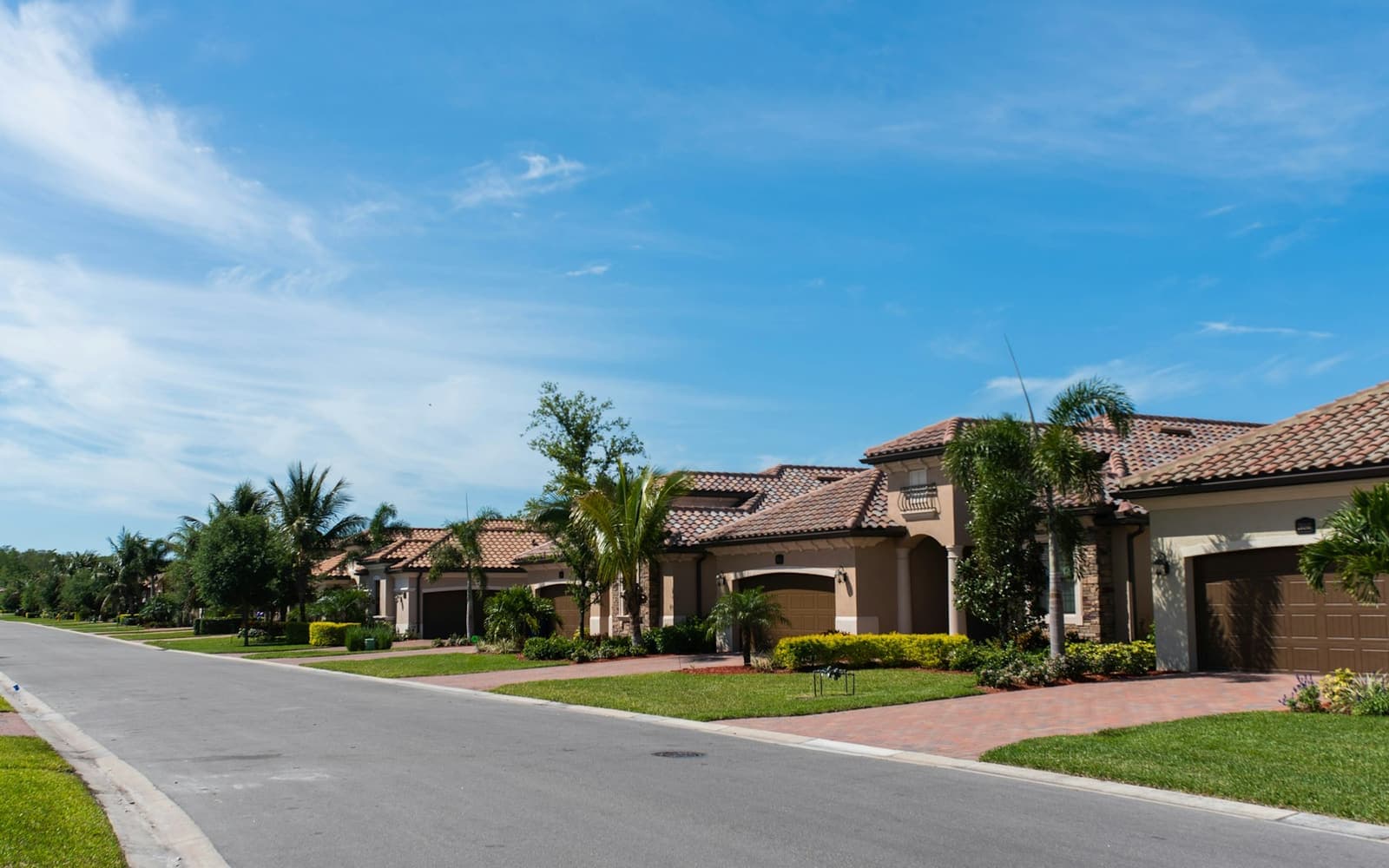 A street of newer homes with tile roofs and palms